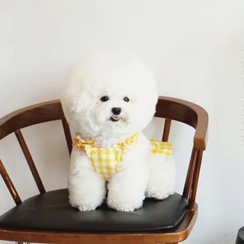 Pes Sukne Teddy Bišonika VIP Pomeranian Bradáči Yorkshire Malý Pes Pet Oblečenie Letné Tenké