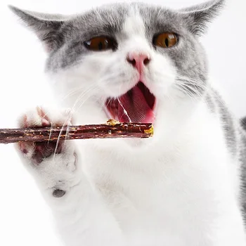 5 ks/Taška Pet Mačka Občerstvenie Matatabi Žuť Catnip Držať Zuby Molekulová Čistiaca Kefa Hračky B99