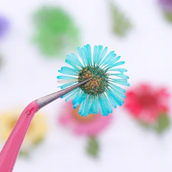 Nail art, ozdoby Box na Nechty, Sušené kvety Ozdoby 6 Japonských Žien Trendy Nail Art, Ozdoby
