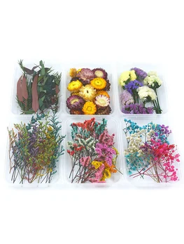 1 Políčko Náhodný Suchý Kvet Materiál Package Aromaterapia Skutočné Rastlín Ručné Kvet Materiál Výrobný Proces Príslušenstvo