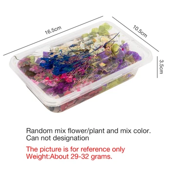 1 Box Skutočný Mix Sušené Kvety pre Živicové Šperky Suché Rastliny Lisované Kvety, Takže Plavidlá DIY Príslušenstvo