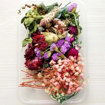 Sušené Kvety Package Zmiešané Večný Kvety a Zeleň pre KUTILOV, Sviečky, Aromaterapia Pohľadnice Epoxidové Plavidlá Dekor TRYC889